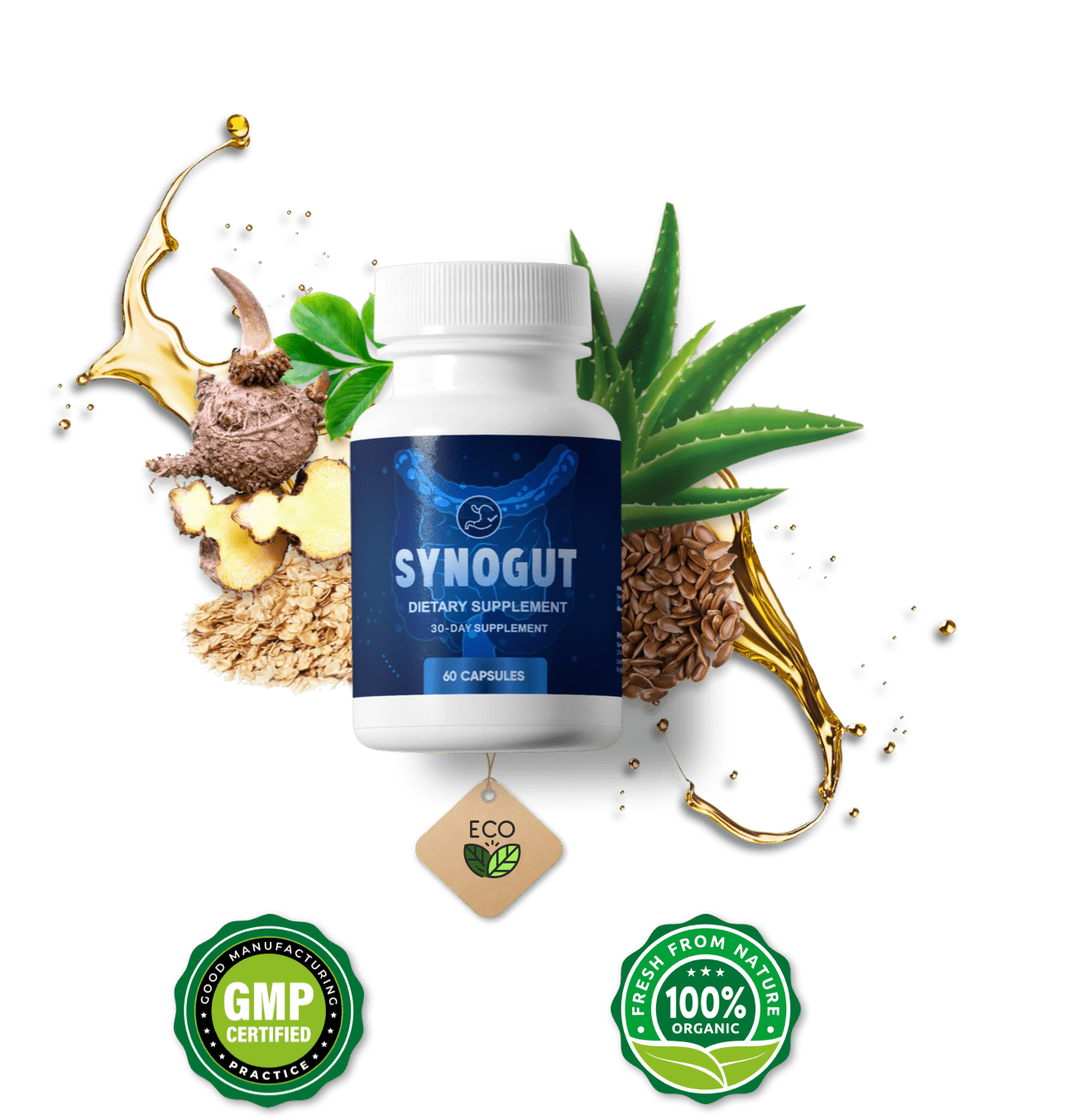 SynoGut single bottle plus ingredients